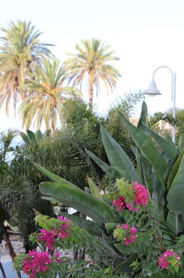 Bella Andalucia Apartment Almunecar Ngoại thất bức ảnh